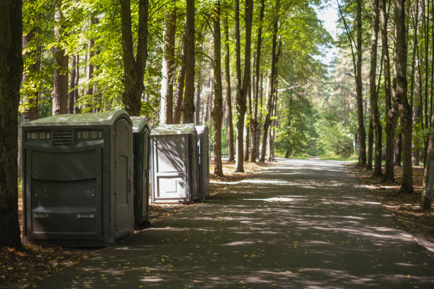 Best Porta potty rental near me  in Vernon, AL